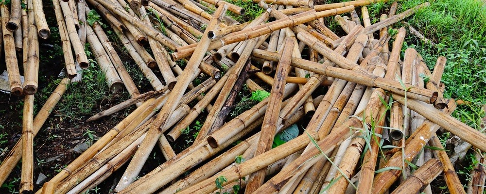podłoga bambusowa wady